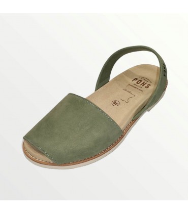 Anatomic Edera PM (Pons)