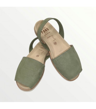 Anatomic Edera PM (Pons)